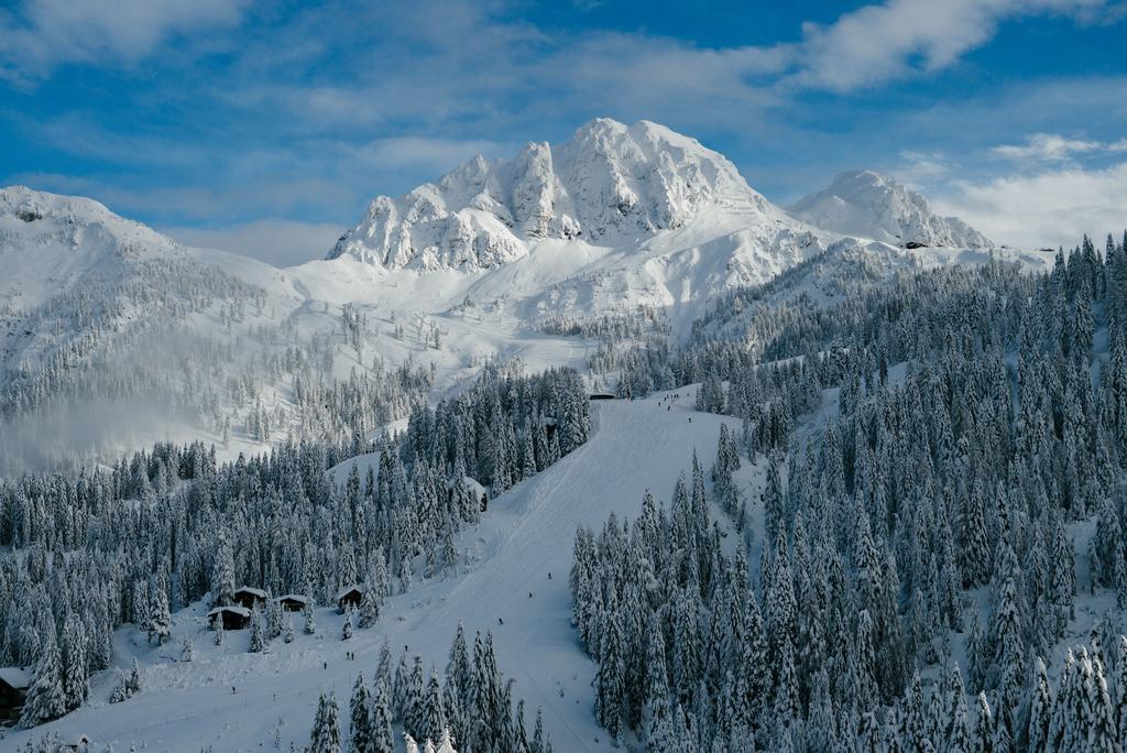 Alpenrose Nassfeld Daire Sonnenalpe Nassfeld Dış mekan fotoğraf